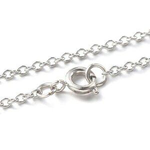 Surgical Stainless Steel Rolo Chain Necklace 20" Long 2mm Links Spring Clasp